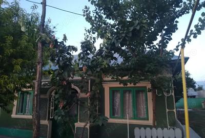 Casa de vanzare - 1