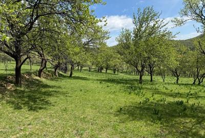 Teren Construcții intravilan de 8330 mp, în Inuri - 9