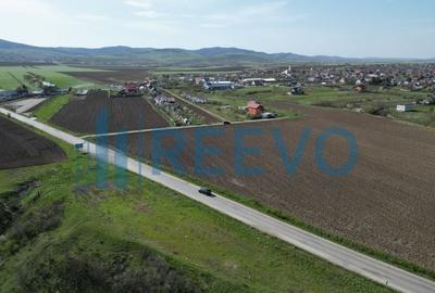 Teren de vânzare, Com. Nicolae Bălcescu, Jud. Bacău - 5