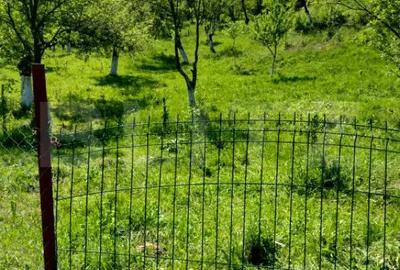 Teren în Stremț - 5