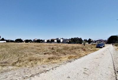 Ovidiu - teren intravilan, str. Liliacului - 2