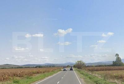 Teren de 6700 mp, în Pericei - 3