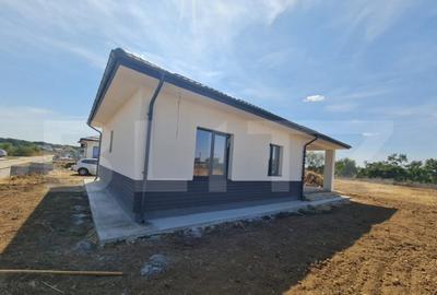 Casa 109 mp + CURTE 500 MP, in Petresti/Corbeanca - 11