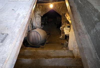 Casă cu 3 camere cu Teren 3000 Mp în Deleni - 10