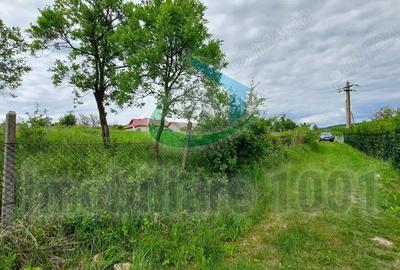 Teren de 2732 mp, în Șomcuta Mare - 2