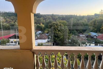 Casă cu 4 camere în Leamna de Sus - 13