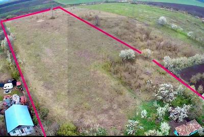 Oportunitate de Investitie - Teren Intravilan în Valea Lungă - Iași ! - 3