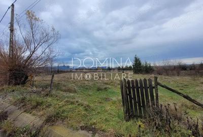 Vanzare teren 5000 mp, intravilan+extravilan, in comuna Crasna - 6