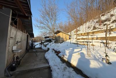 Vand casa in Tarnova - 9