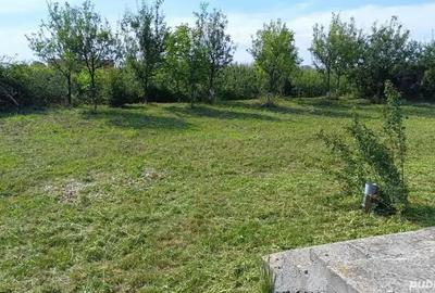 Casă cu 6 camere în Dumbrăvița - 1