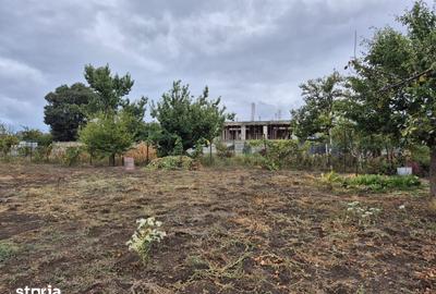Casă cu 4 camere cu Teren 1400 Mp în Palazu Mare - 3