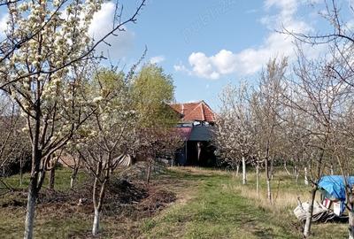 Casa de vanzare Casa de vanzare - 4