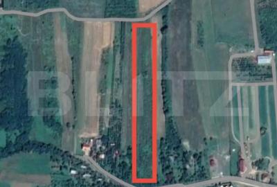 Teren de 12765 mp, în Viile Satu Mare
