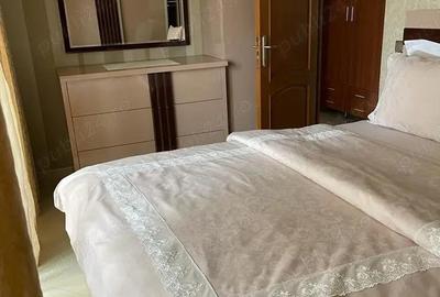 Lacul Tei Maica Domnului, apartament 3 camere lux. - 8