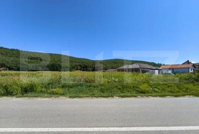 Teren de 4900 mp, în Hăpria - 1