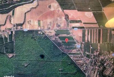 Spațiu comercial, în Ciolpani - 4