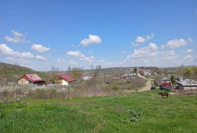 Teren Construcții intravilan de 1150 mp, în Dămienești - 3