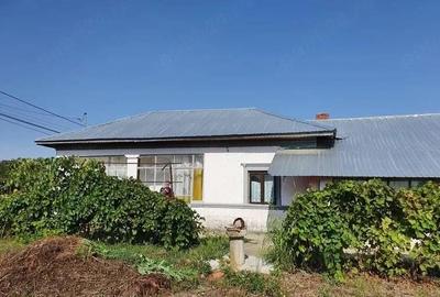 Casă cu 4 camere cu Teren 1900 Mp în Valea Popii - 6