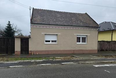 Casă cu 5 camere cu Teren 3040 Mp în Tămășeu