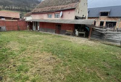 Proprietar vand casa sat. Buia jud.Sibiu Proprietar vand casa sat. Buia jud.Sibiu - 4