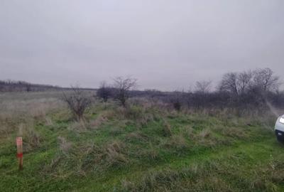 Teren de 2500 mp, în Cârcea