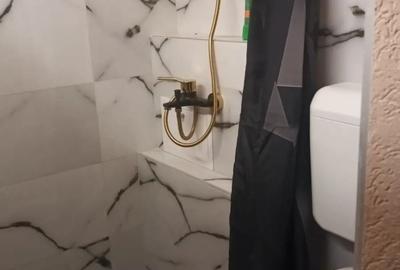 De inchiriat garsoniera zona Dacia proprietar - 10