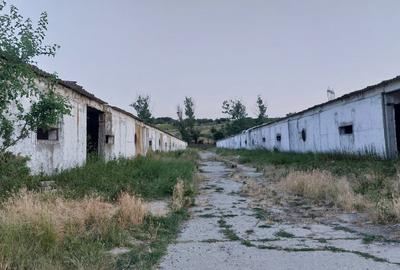 Hale industriale, 7000 mp, Pielesti - 4