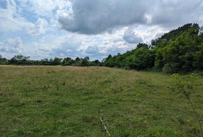 Casă cu 5 camere în Pomi - 1