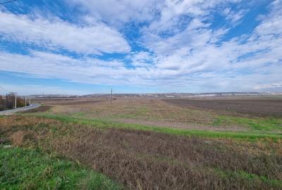 Teren 2 Ha - Gaureni, Miroslava - Zona Mall Moldova - 3