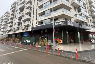 Spațiu comercial, de 450 mp, în Vest - 3