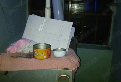 Casă cu 3 camere cu Teren 1960 Mp în Central - 10