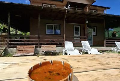 Pensiune in Bisoca, zona manastirii Poiana Marului - 10