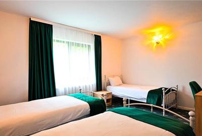 Complex turistic,afacere la cheie,3 vile, teren 7.700 mp,pan - 9