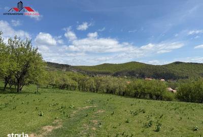Teren de 8330 mp, în Vințu de Jos - 2