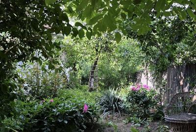 Spațiu comercial, în Oreavul - 9