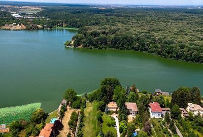 Snagov / Teren 14600 mp+Cladire 4200 Mp/ Investitie Comerciala sau Rezidentiala - 5