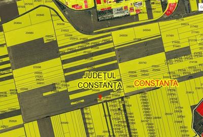 Spațiu comercial, în Viile Noi - 3