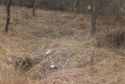 Casă cu 3 camere în Sânpaul - 3