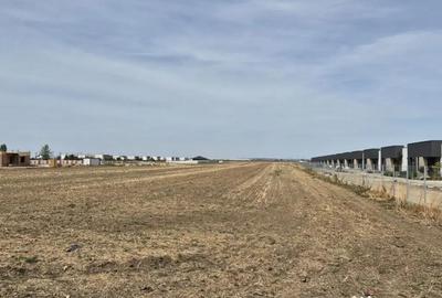 Teren de 16248 mp, în Domnești - 4