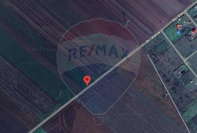 Teren 3.500 MP | Halchiu | Jud. Brasov - 8