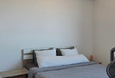 Apartament cu 2 camere semidecomandat, mobilat în Costin Georgian - 8