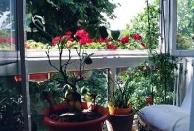 Apartament cu 3 camere semidecomandat în Berceni - 8