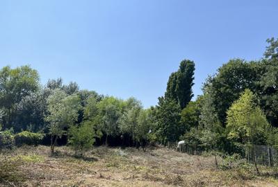 Teren de 2537 mp, în Siliștea Snagovului - 2