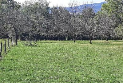 Teren de 1800 mp, în Breaza de Sus - 4