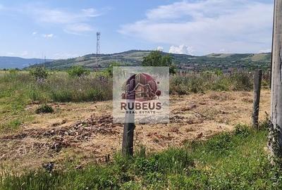 Spațiu comercial, în Schela Cladovei - 12