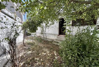 Pret REDUS | Casa solida pe colt, 240 mpu, terasa si curte | Pantelimon - 26