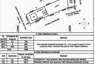Casă cu 6 camere cu Teren 2000 Mp în Babadag - 5