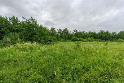 Teren de 18645 mp, în Sântămăria de Piatră - 17