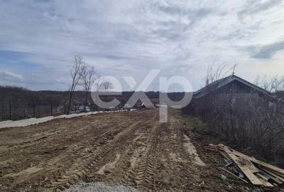 Teren de 1500 mp, în Albota - 2