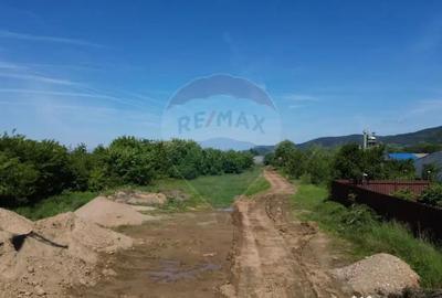 Teren de 11533 mp, în Merișor - 4